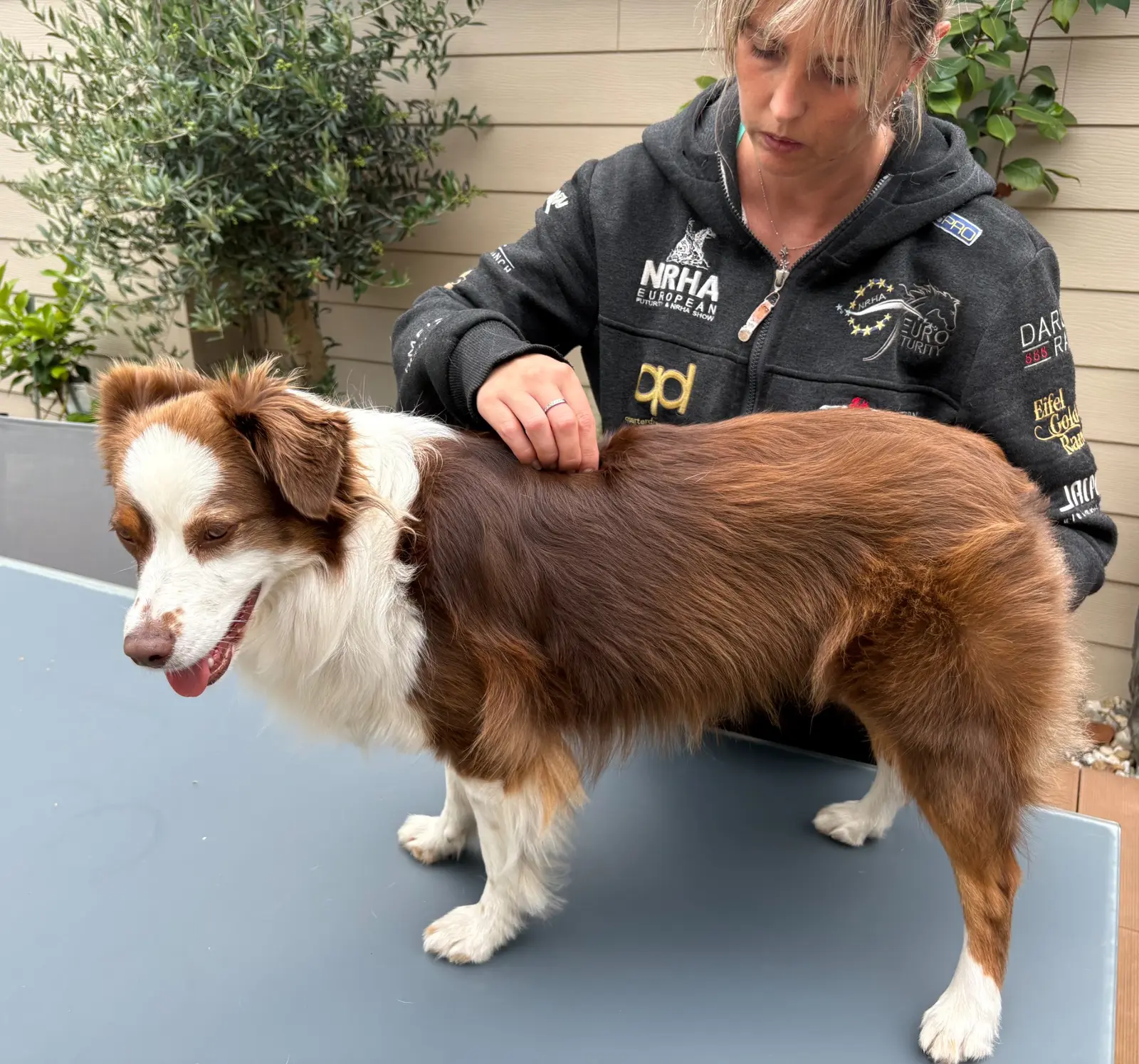 Astrid behandelt een hond