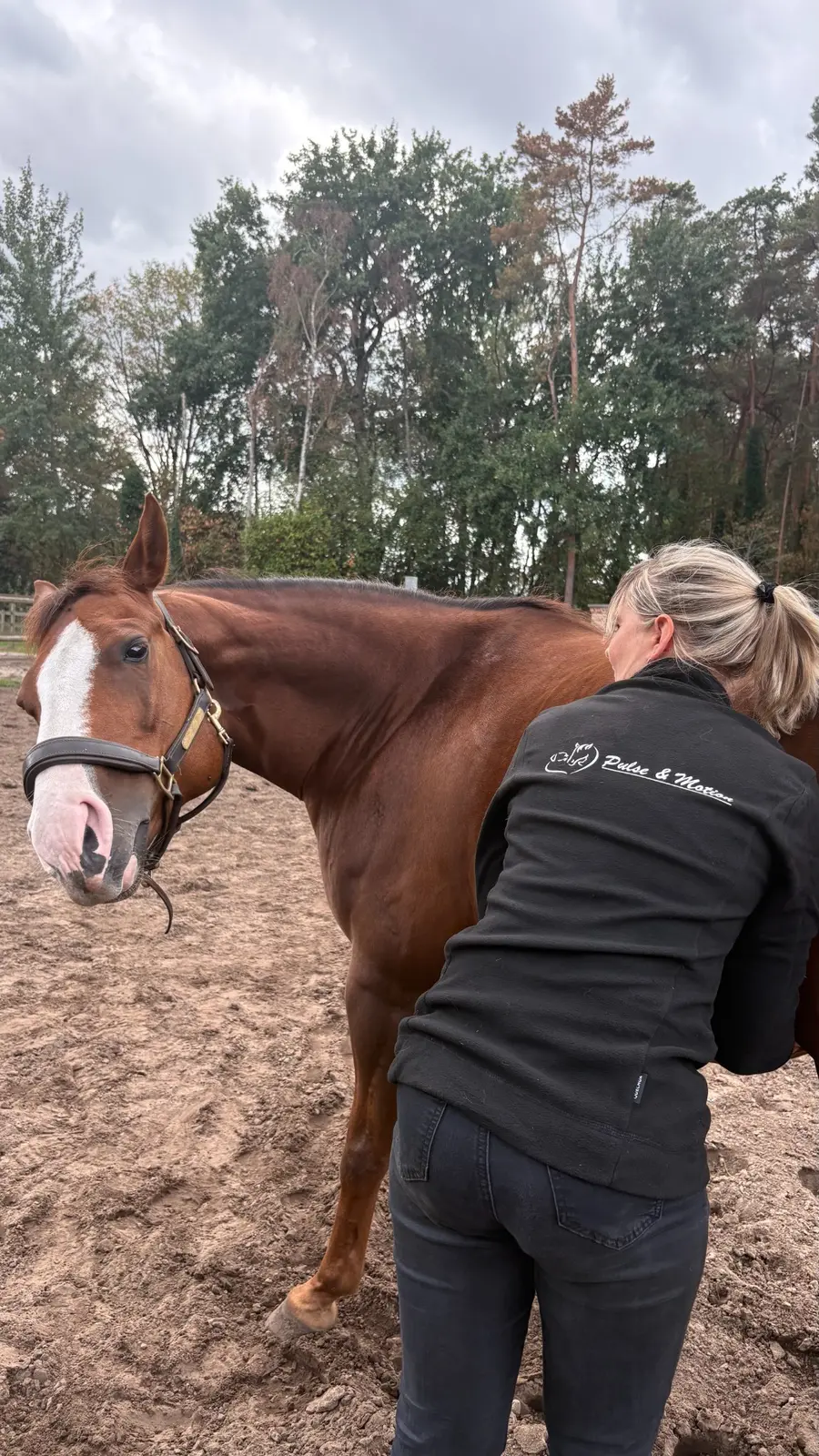 Astrid observeert een paard voor de behandeling