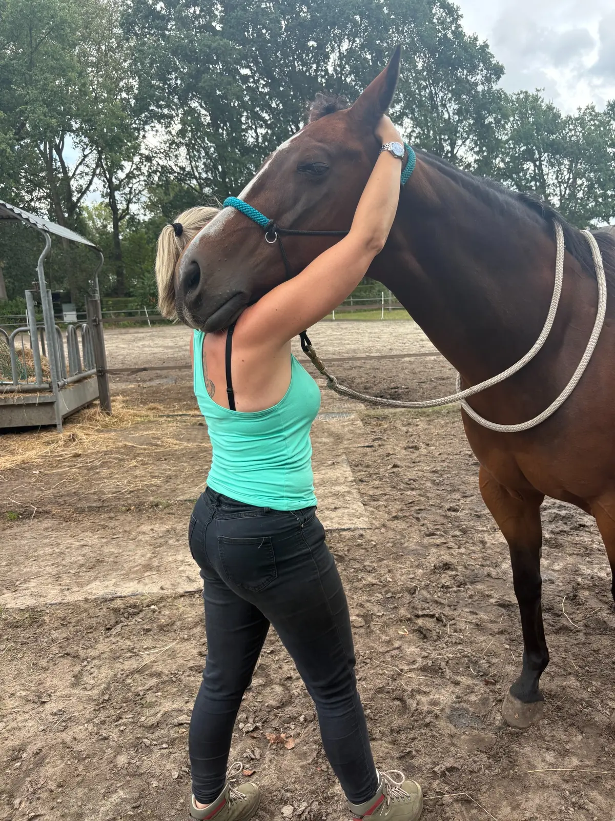 Astrid onderzoekt een paard ter hoogte van de hals