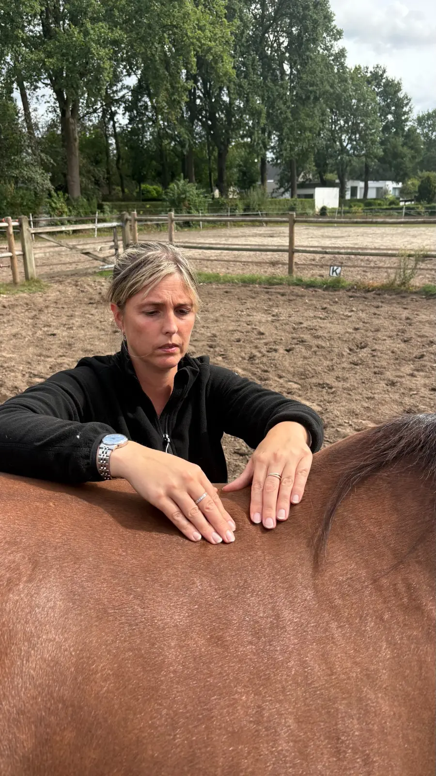 Astrid onderzoekt de beweeglijkheid van de paardenrug