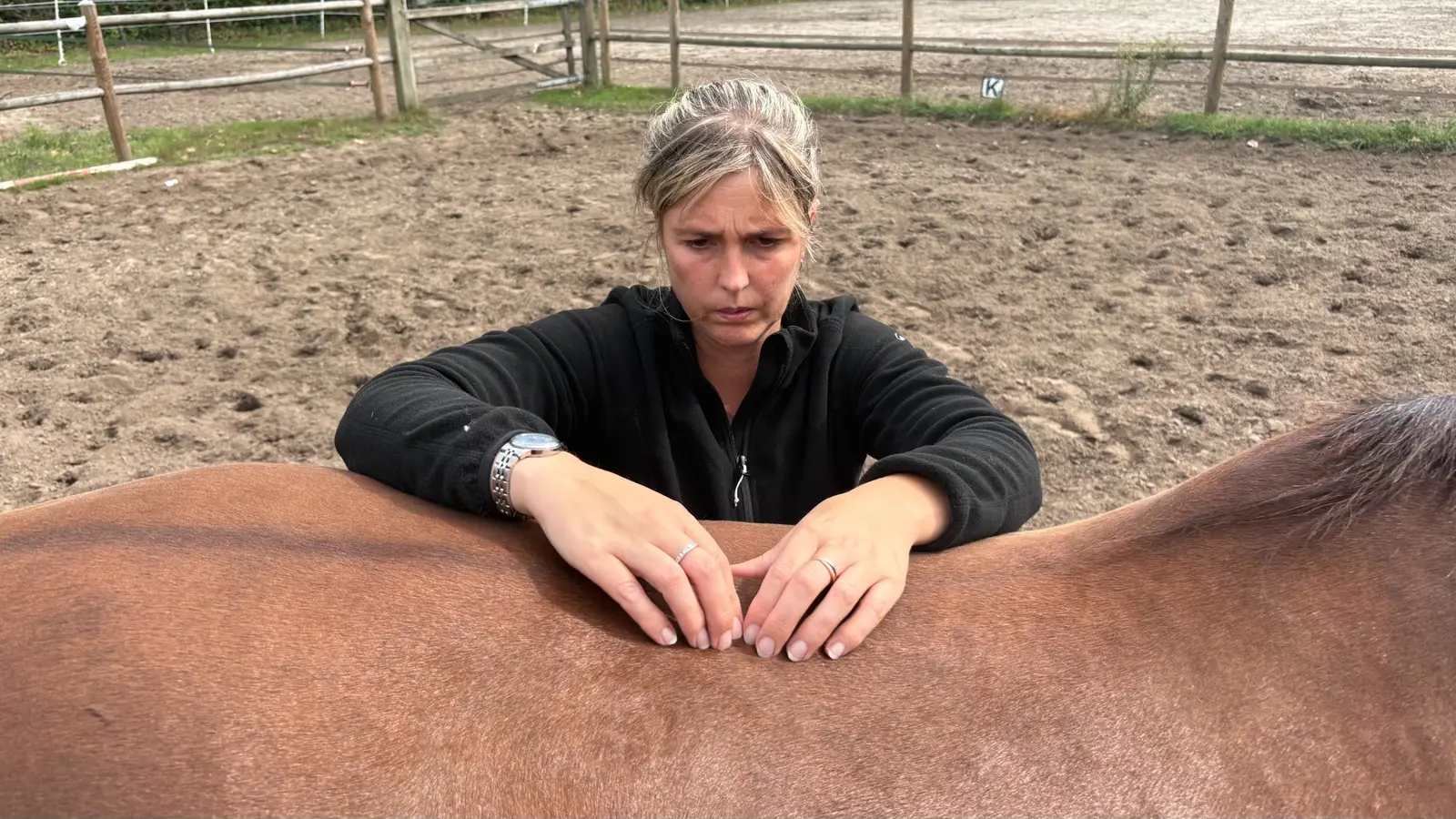 Astrid onderzoekt aandachtig de rug van een paard